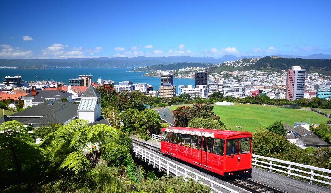 ภาพเมือง Wellington